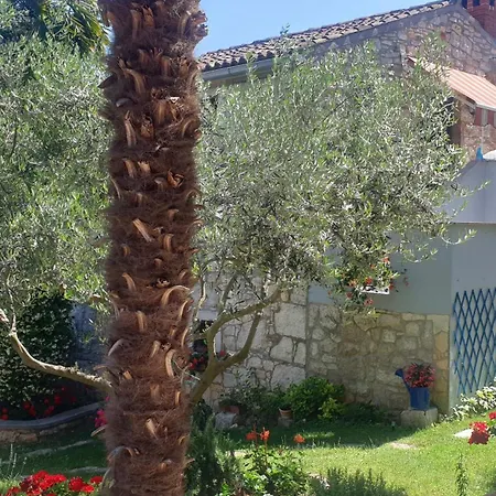 Apartament Daniela *